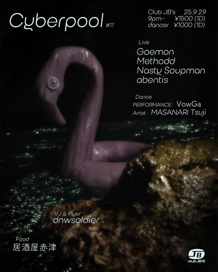 Cyberpool vol.17